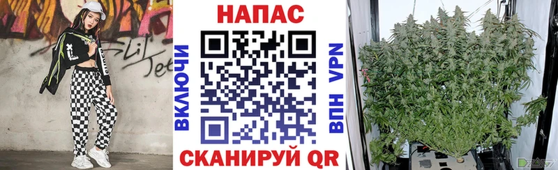 Бошки марихуана Ganja  Азов 
